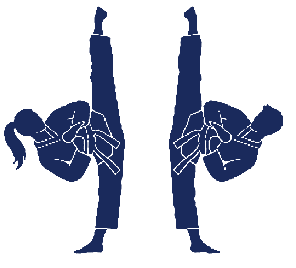 Two Poomsae Performance Squad athletes performing a vertical side kick